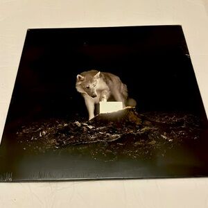 Vanishing Life Vinyl